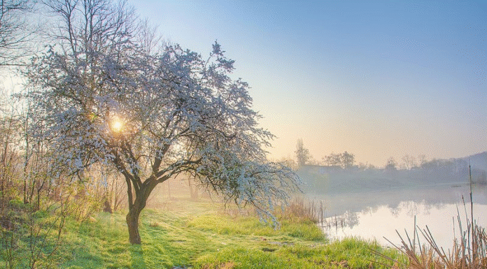 ТОП ідей для ідеального ранку: найкращі мотивуючі та смішні цитати для ваших соцмереж